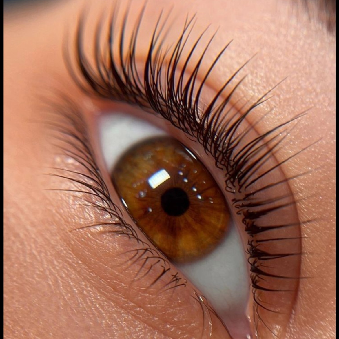 Classic Lash Extensions at Peach Blossom Beauty Co in Camas, WA