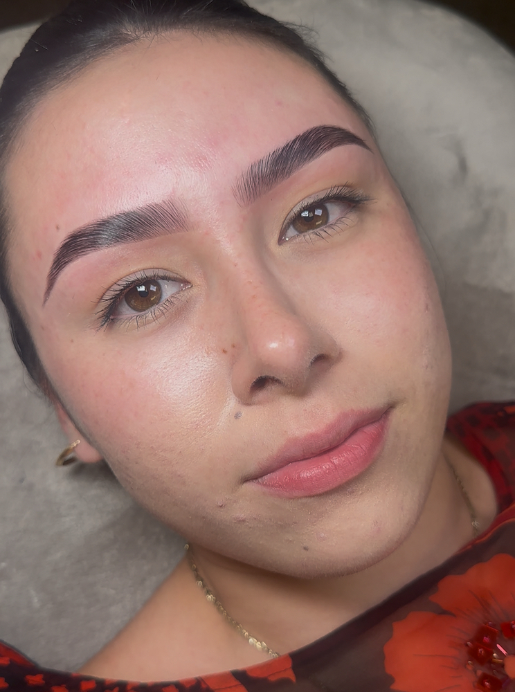 Brow Lamination, Tint & Wax Combo