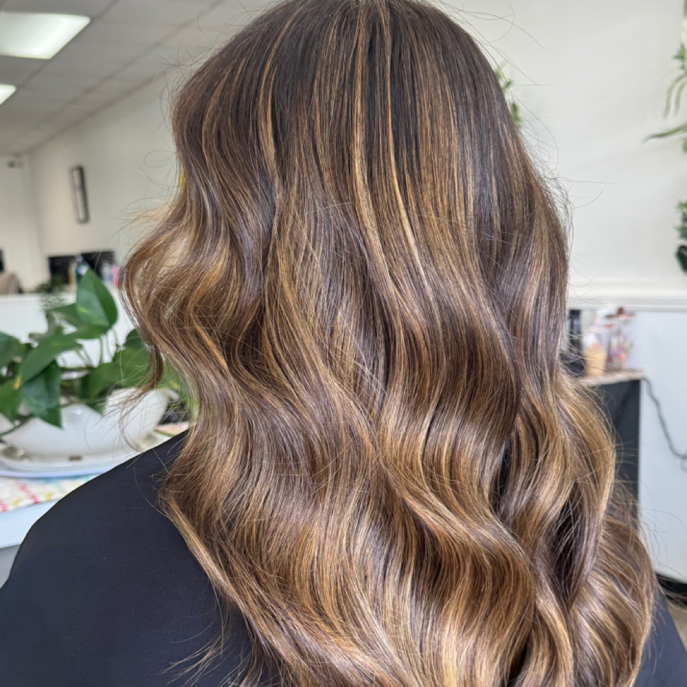 Balayage/Foiliage at Mailen Rodriguez in Newton, NC