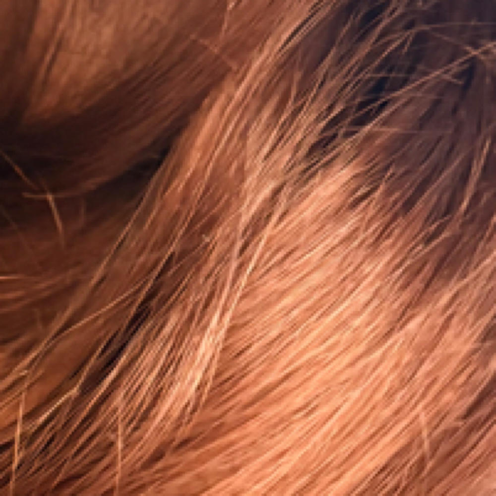 Single Process Color Roots To Ends at Quiana Brown in South Orange, NJ