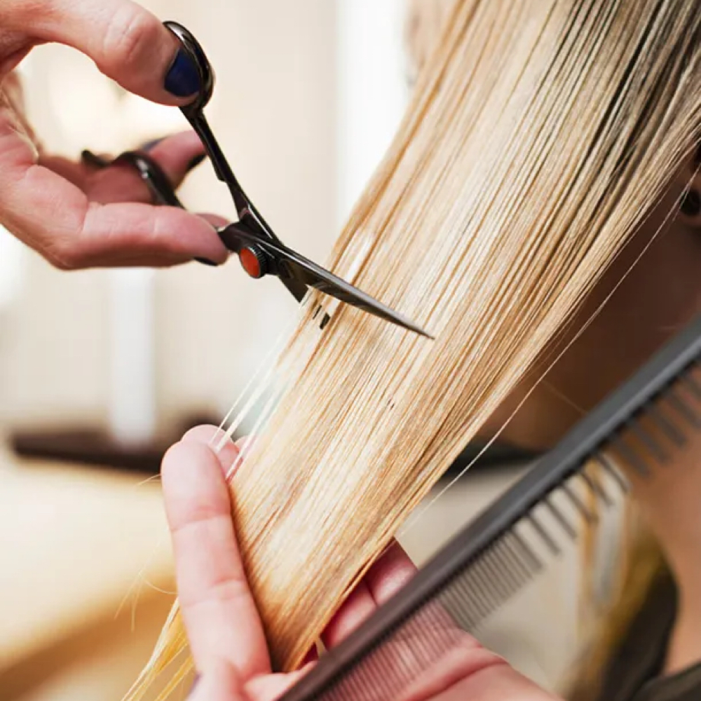 Haircut Only (No Added Style) at The Hive Salon Spa in Galt, CA