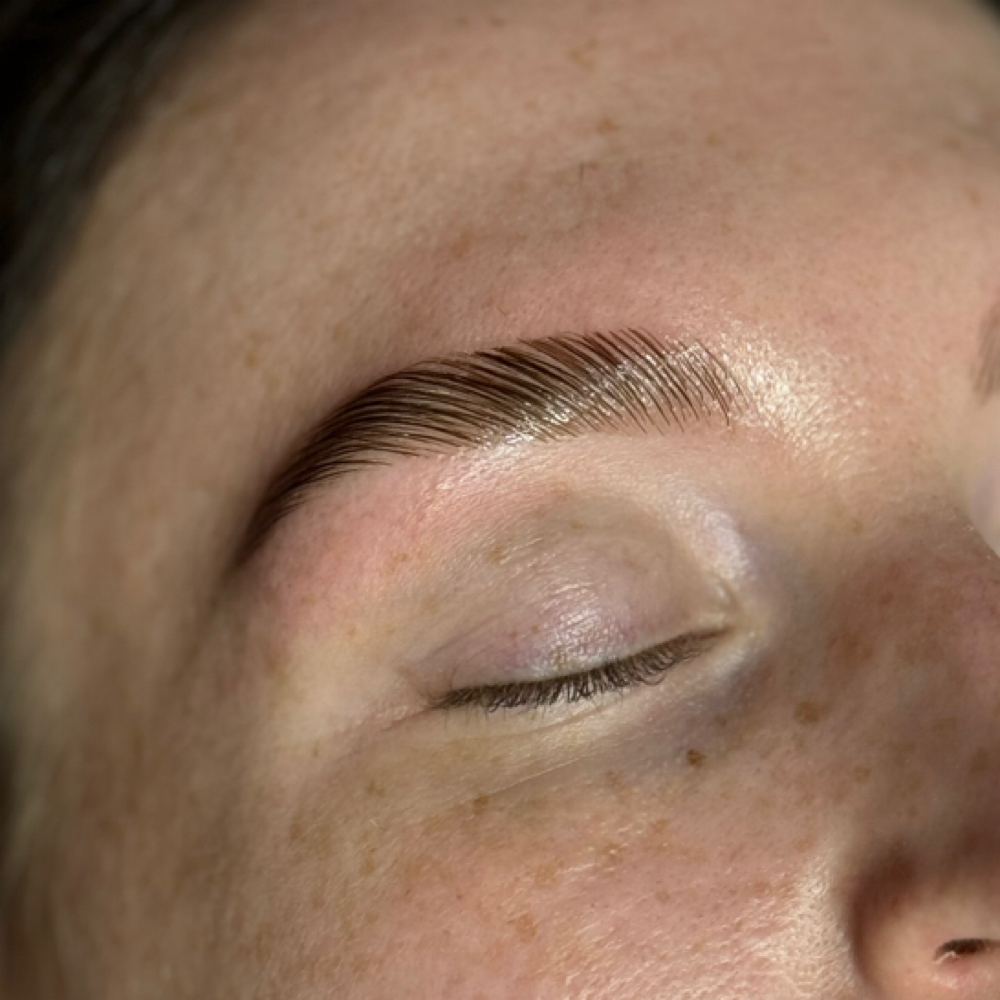 Brow Lamination + Shape + Tint at The Brow Place in Denver, CO
