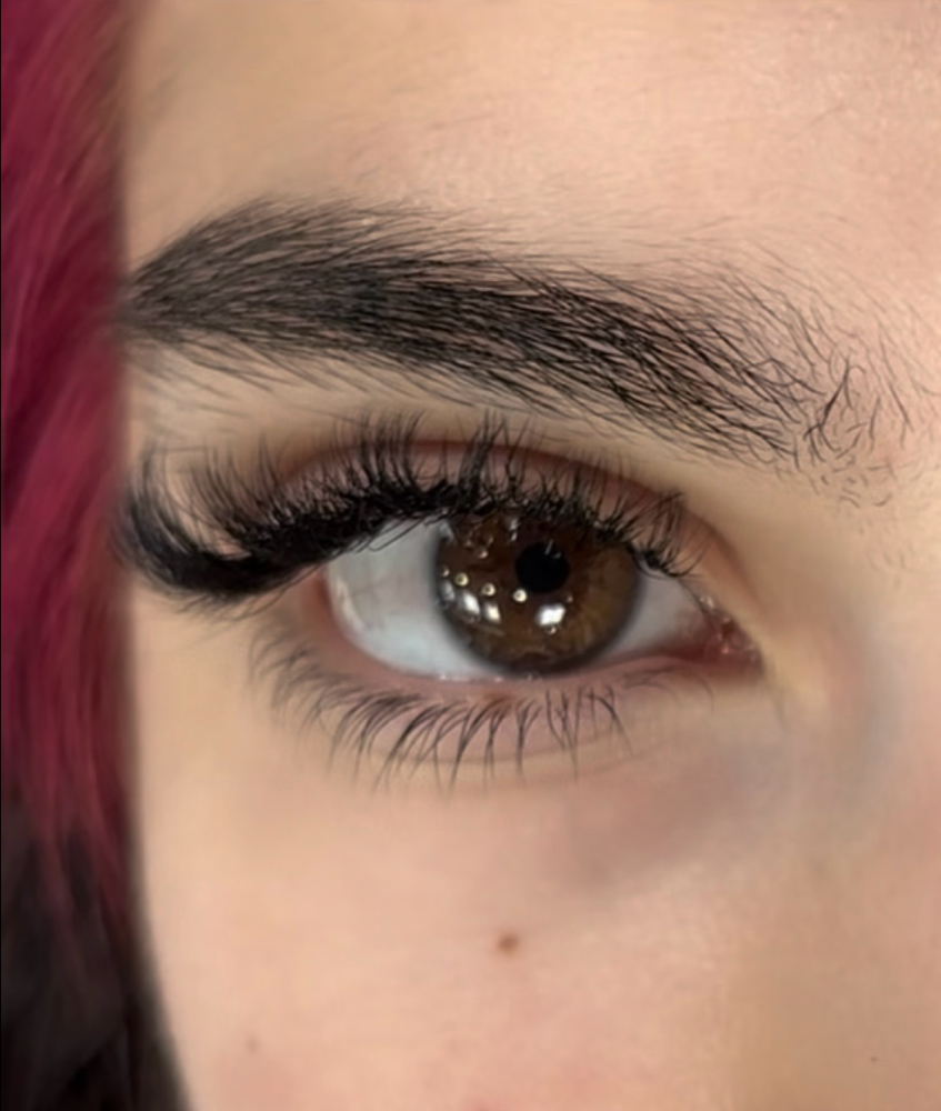 Lashes (Hybrid)