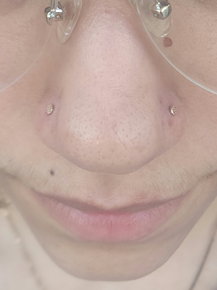 Paired Nostril (One On Each Side)