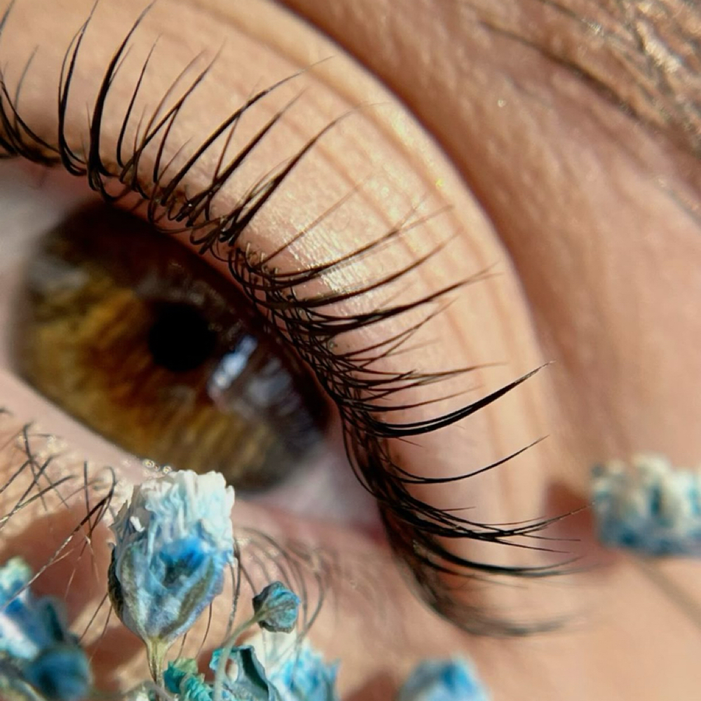 LASH DESIGN at SuperFine SLC in Salt Lake City, UT