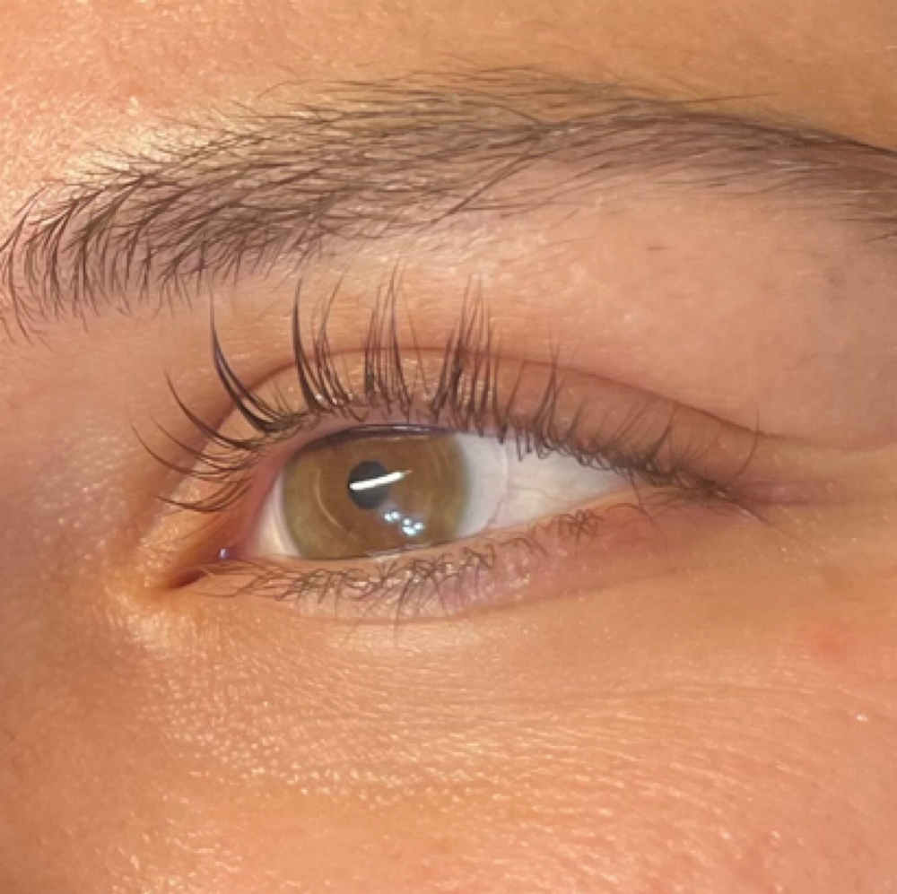Lash Lift And Tint at Ellie McGrath Esthetics in Aurora, IL