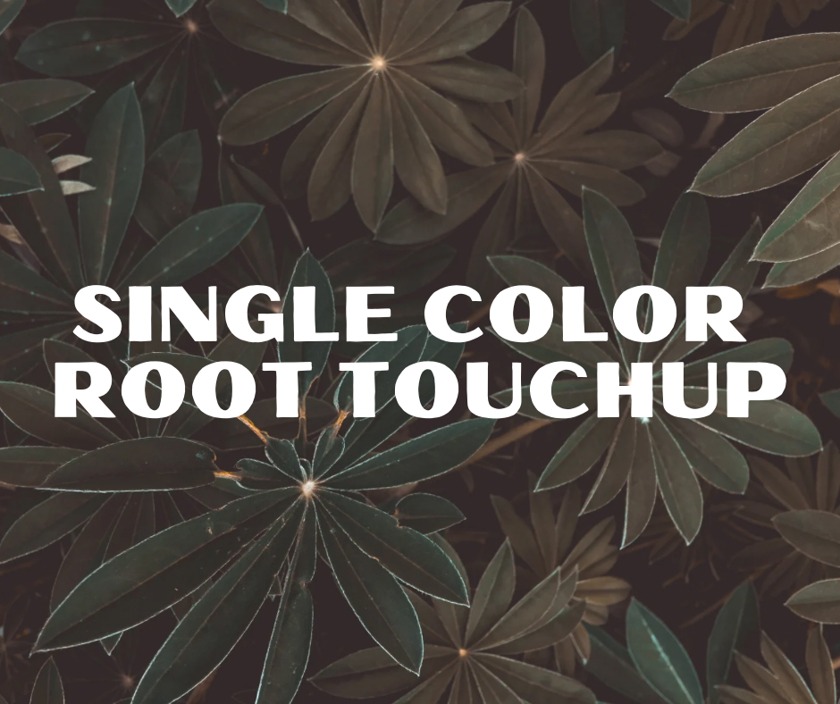 Single Color Root Touchup