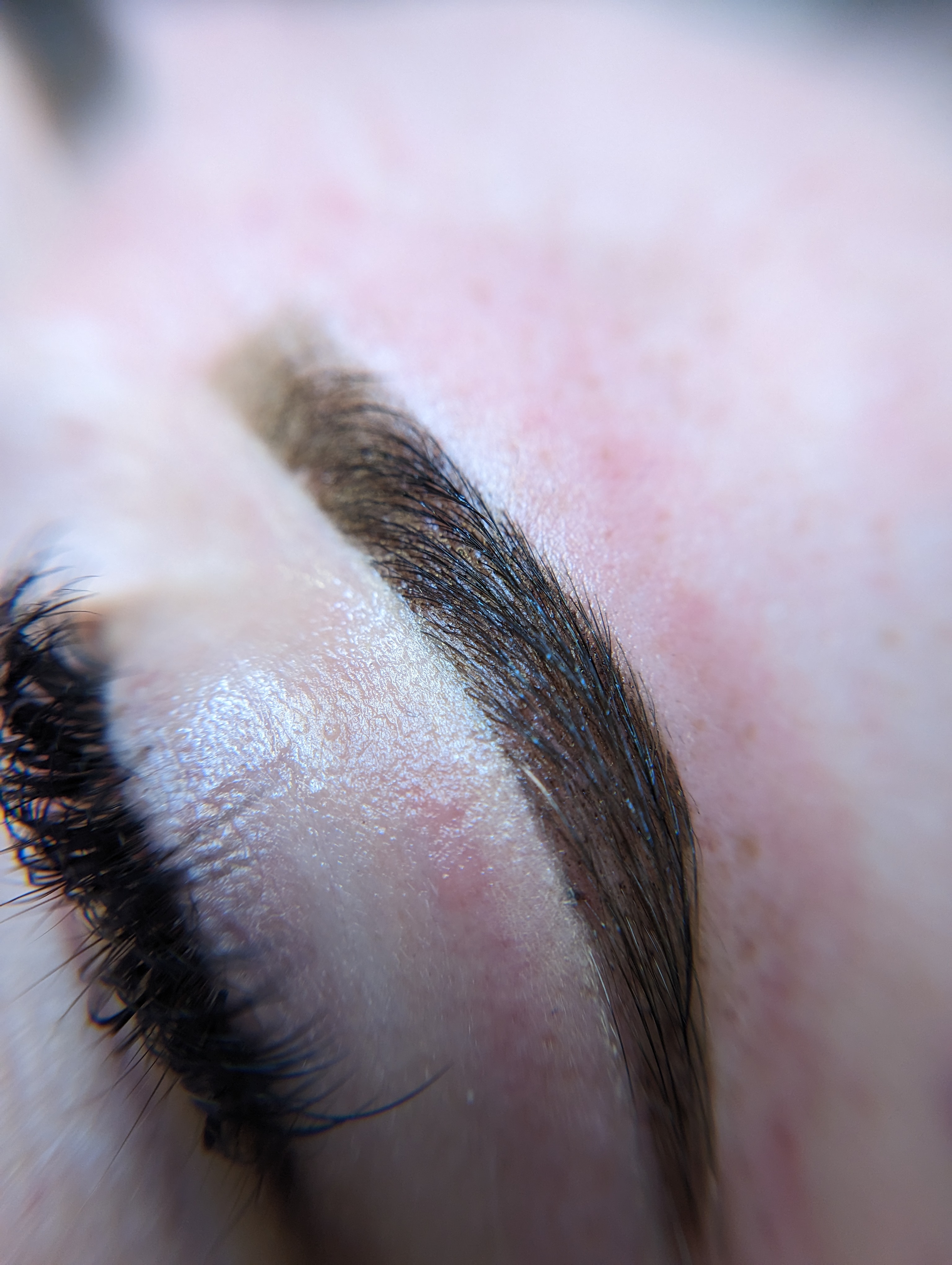 Brow Rehab With Hybrid Tint
