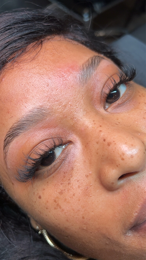 Eyebrow Lamination & Wax