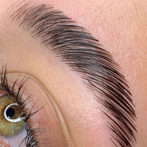 Brow Lamination at Treatments by Rebekah Linnane in Auburn, CA