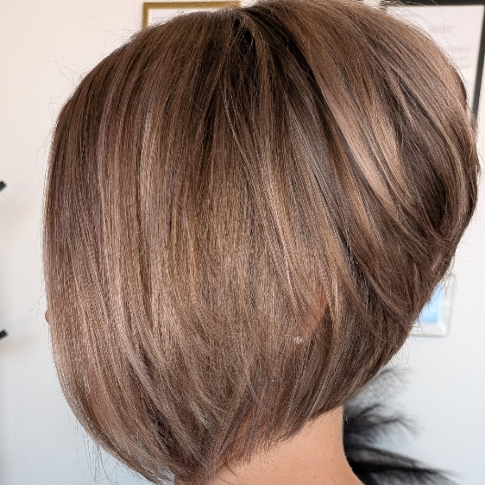 Shampoo And Cut For Short Hair at Amber Leigh Beauty in Massillon, OH