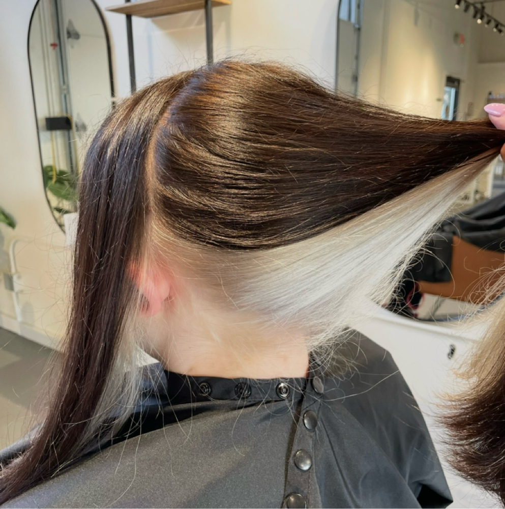 Blonding Halo / Color Block at Styled By Makaylee in Bremerton, WA