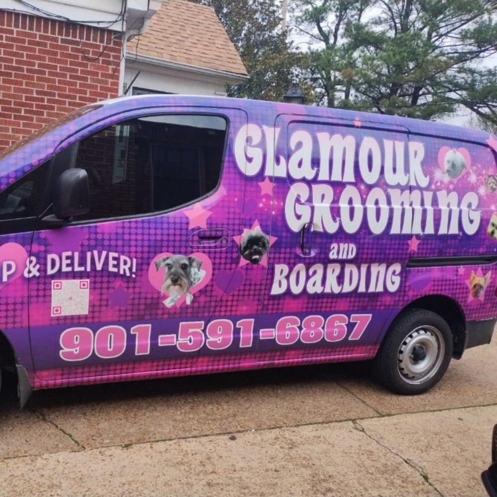 Pick Up and Delivery at Glamour Grooming And Boarding in Memphis, TN