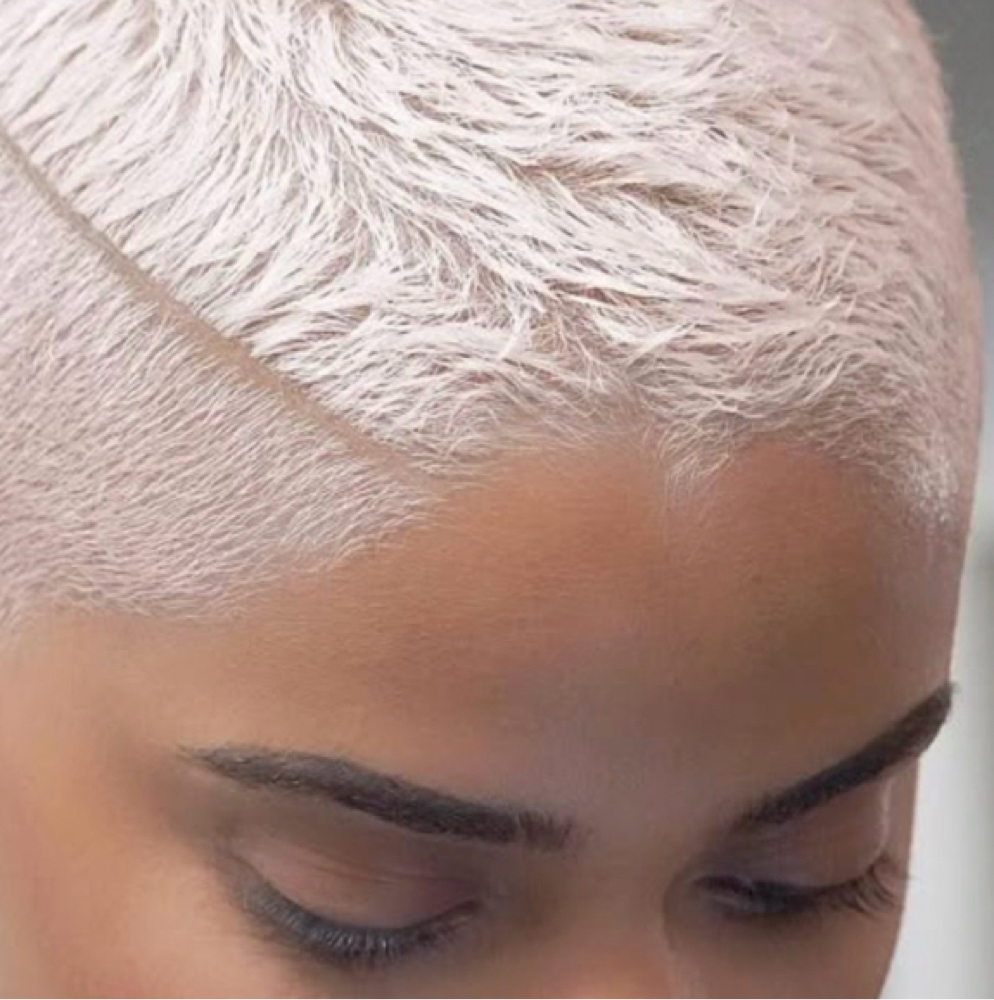 Bleach Blondes at The Finest Salon & Training Center in Bossier City, LA
