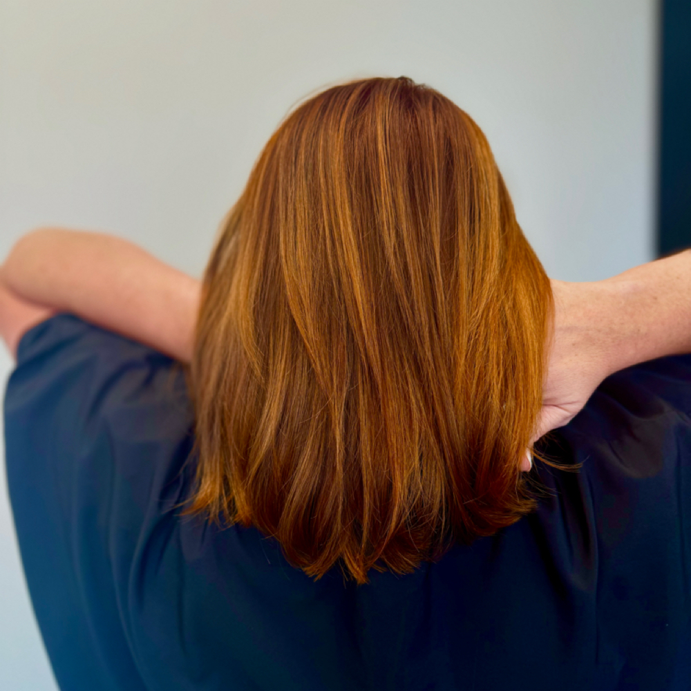 All Over Color + Haircut at Firefly Hair Studio in Jacksonville, FL