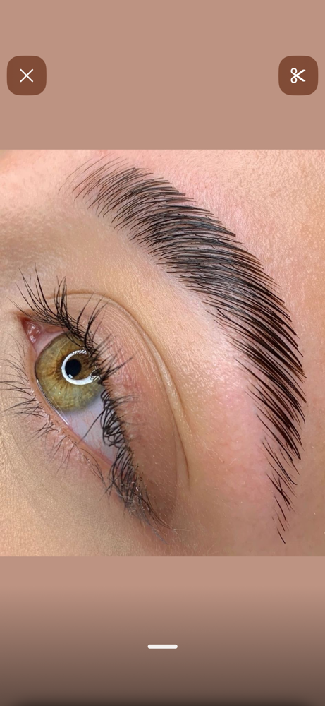 Brow Wax with Lamination