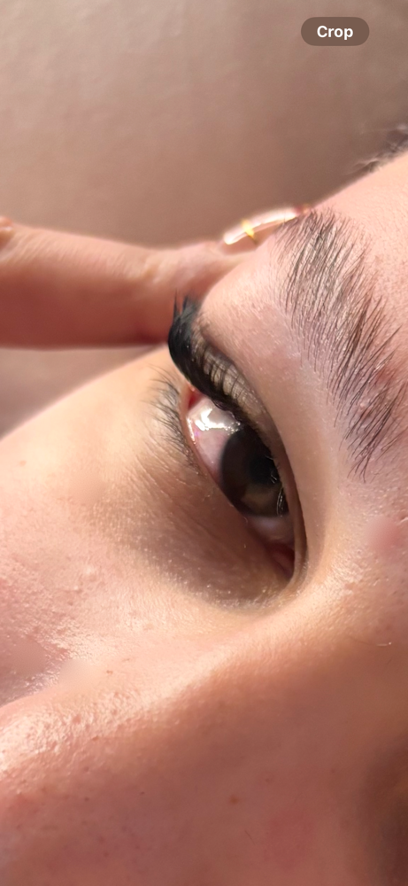 Brow Lamination