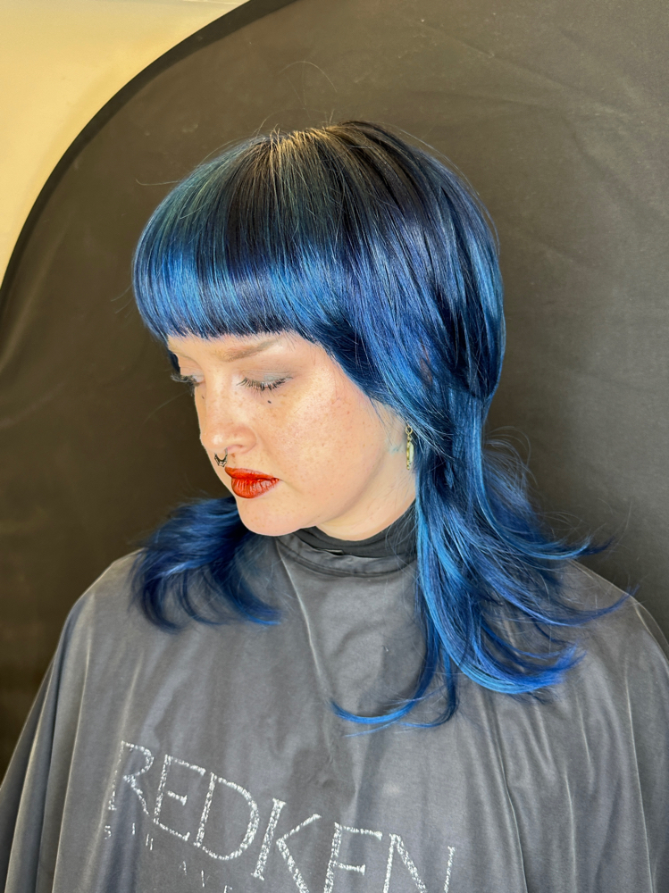 Vivid Color Refresh