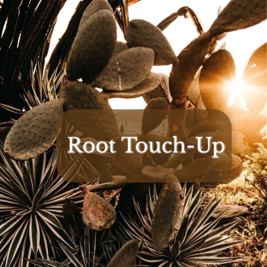 Root Touch-Up at Magnolia on Main in Keene, NH