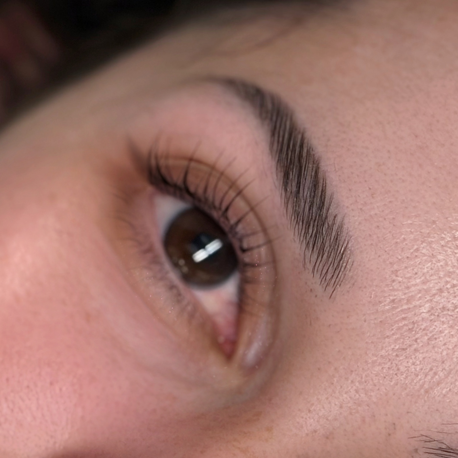 Brow Lamination at Lashmor Studio in Anaheim, CA