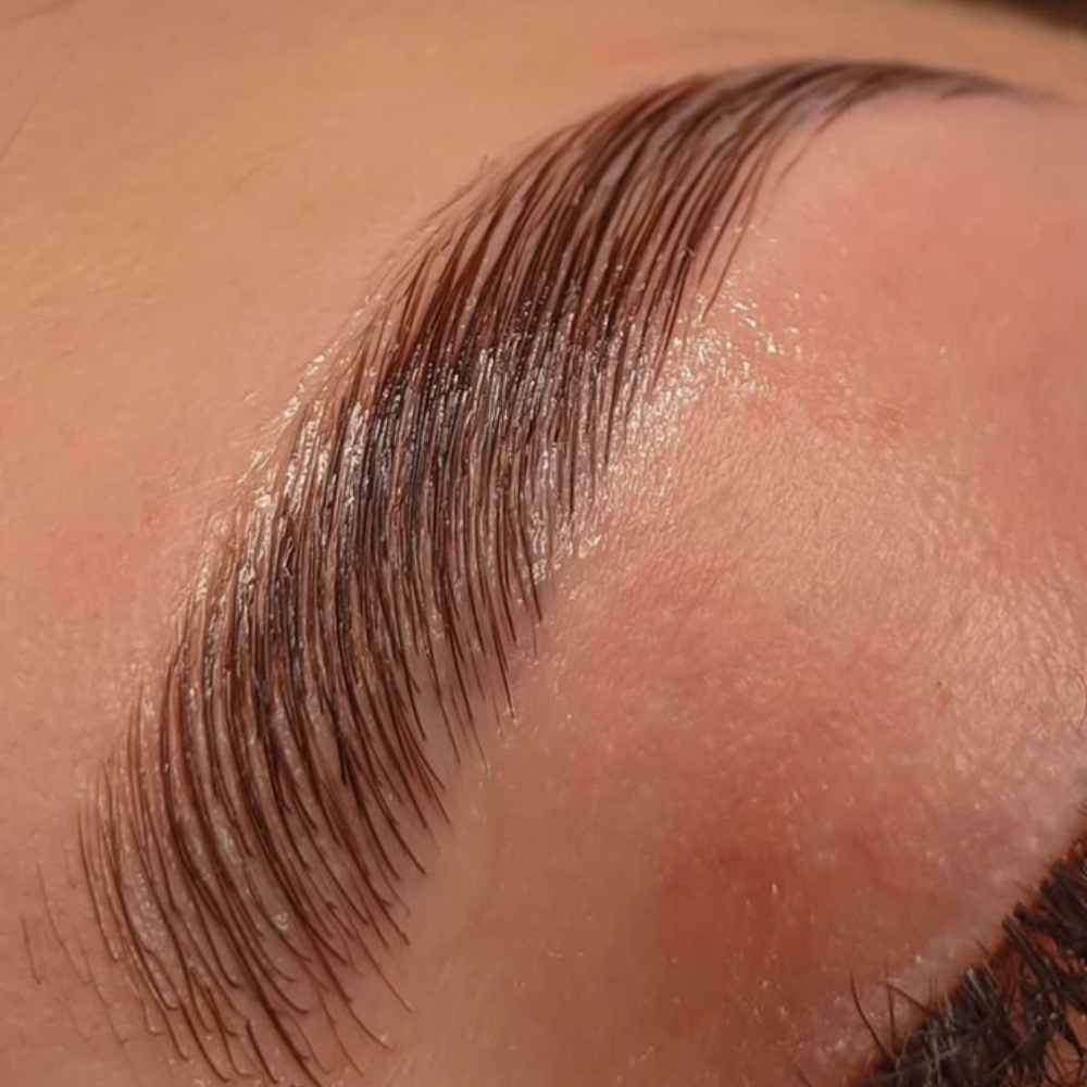 Brow Tint + Lamination at Bellissima and Co. in Gibsonia, PA
