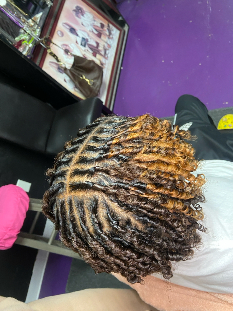 Starter Locs (coils)