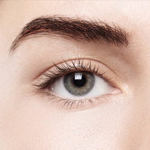 Brow Tint at Ingénue Hair & Makeup in Lone Tree, CO