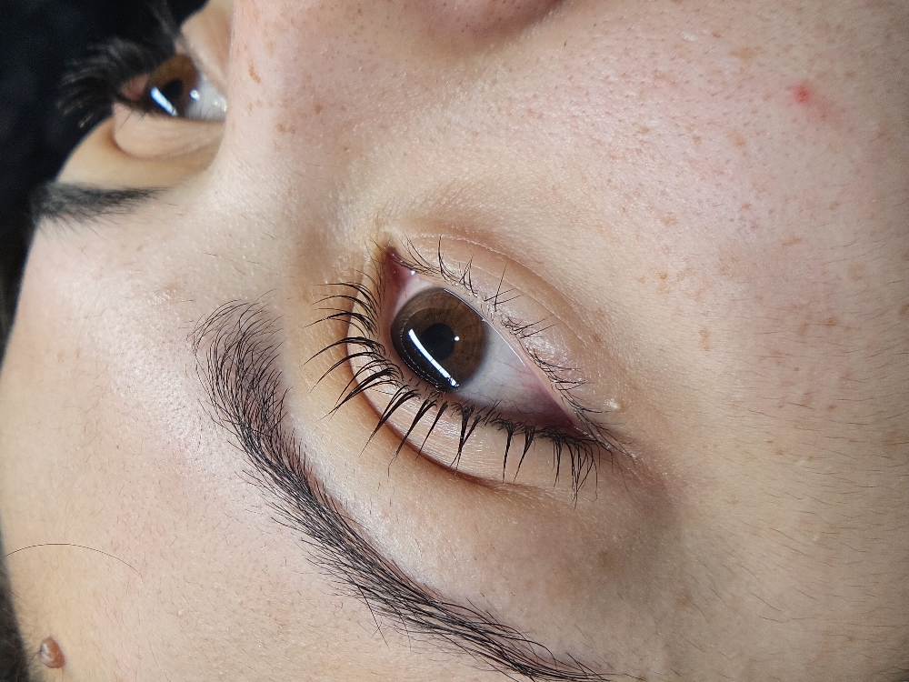 Lash Lift (No Tint)