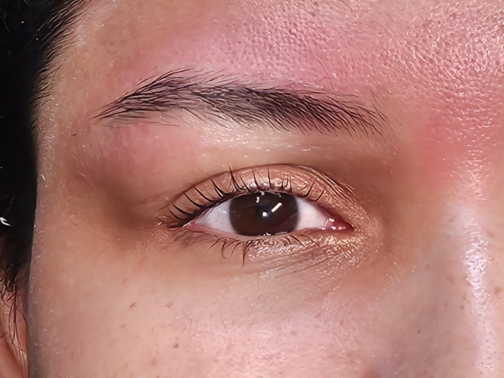 Lash Lift (No Tint)