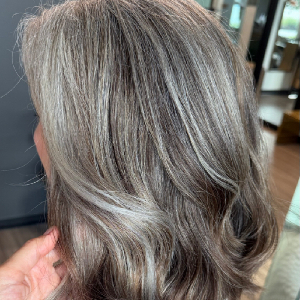 6-9 Month Grey Blending Journey at Kat’s Color Studio in Summerville, SC