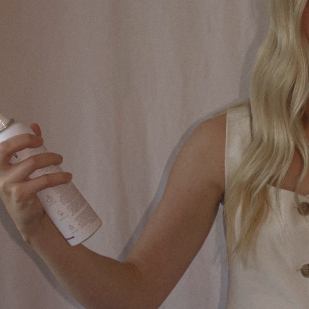 Dry Cut at The Mane Society | Kayden in Rogers, AR