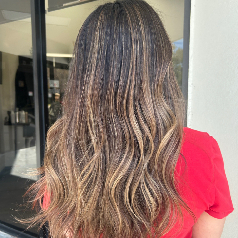 Partial Custom Color at Sammi Lindsay Hair in Tampa, FL