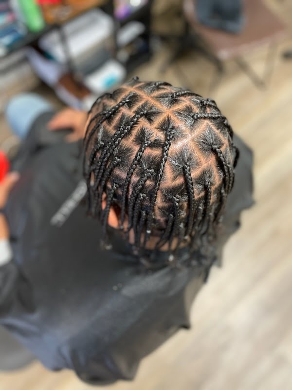 Adult Plaits/ Two Strand Twist at Crown Adjustments in Havelock, NC