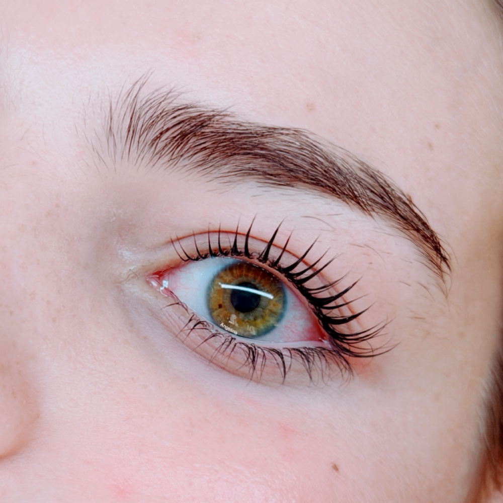 Lash Tint at Swan Beauty in Friendswood, TX