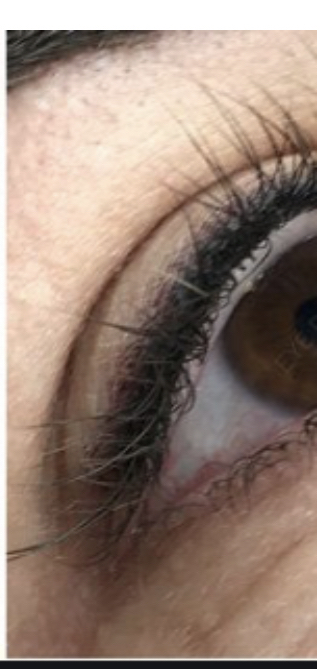 Top Eyeliner 6-8 Week Touchup