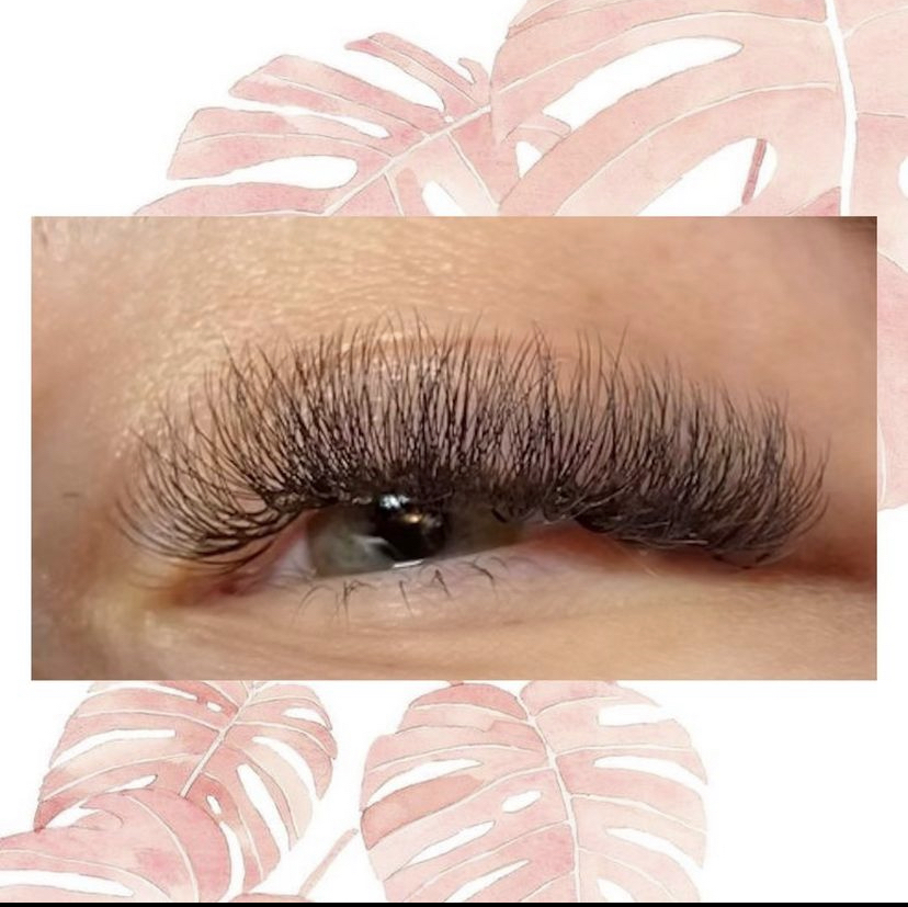 Hybrid Lash Services