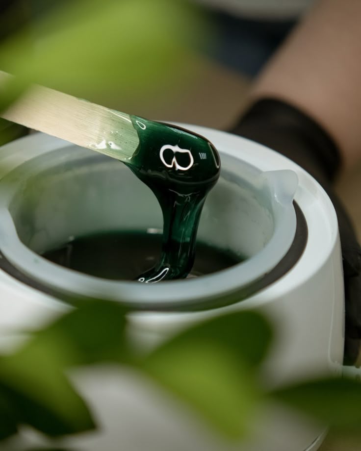 Brow Wax at Bloom Beauty Bar in Camas, WA