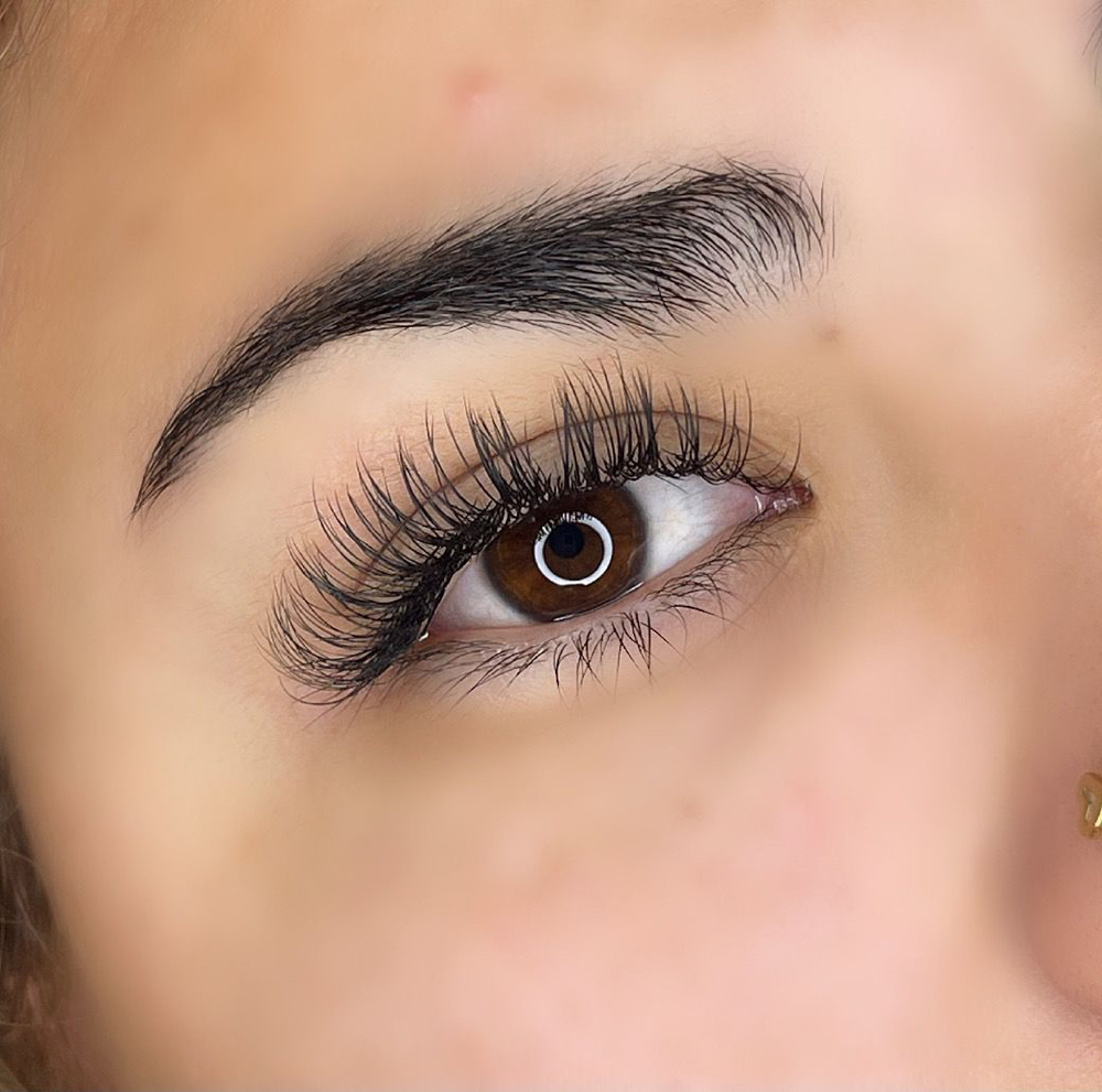 Classic Lashes