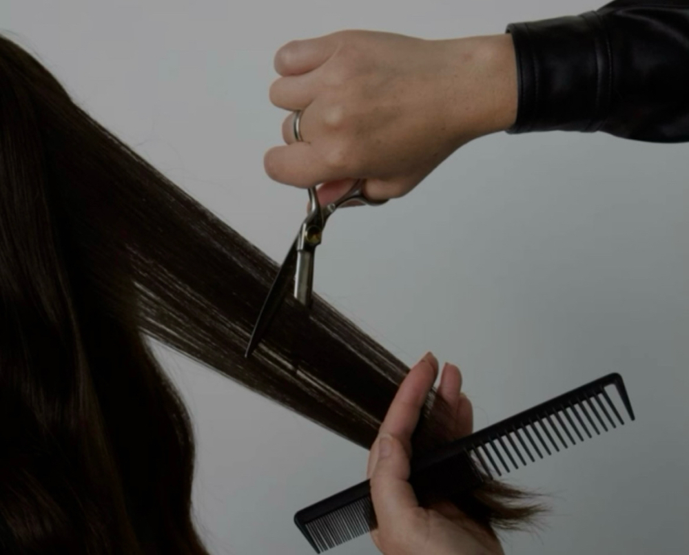 Cut / Style