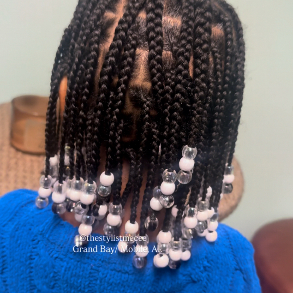 Natural Braids at Me Soleil Salon in Grand Bay, AL