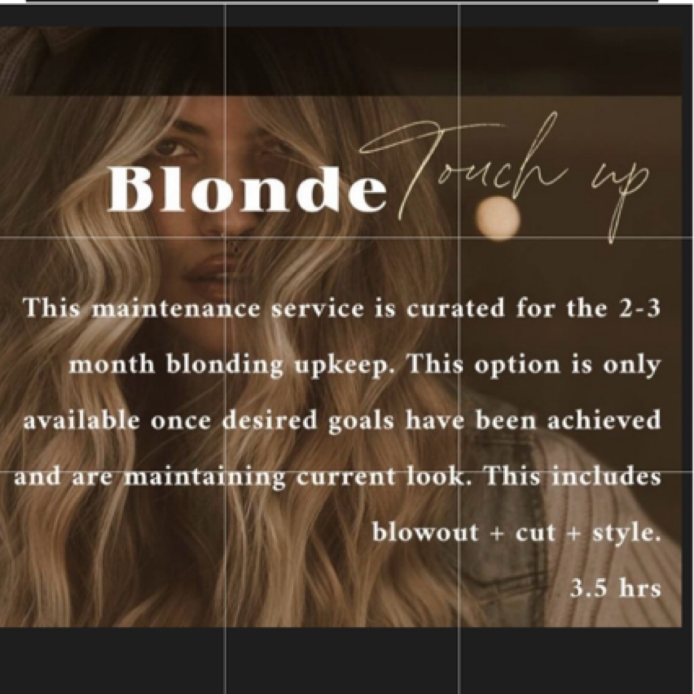 The Blonde Touch-Up at Heather Does Hair Jax in Jacksonville, FL