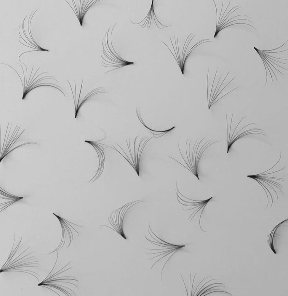 Volume Lash Fill in