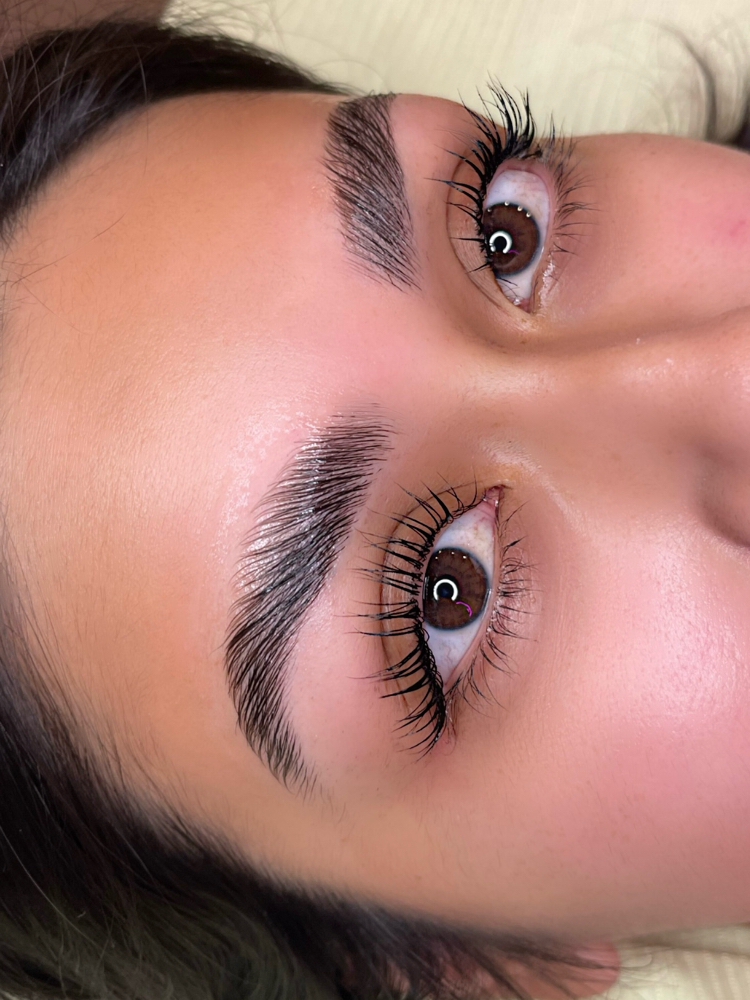 Lash & Brow Bundle