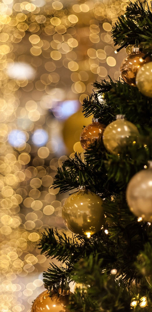 Glow Like Gold-Holiday Facial 🎄