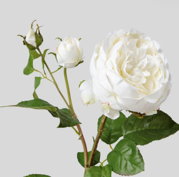 Curling Iron Or Flat Iron Work