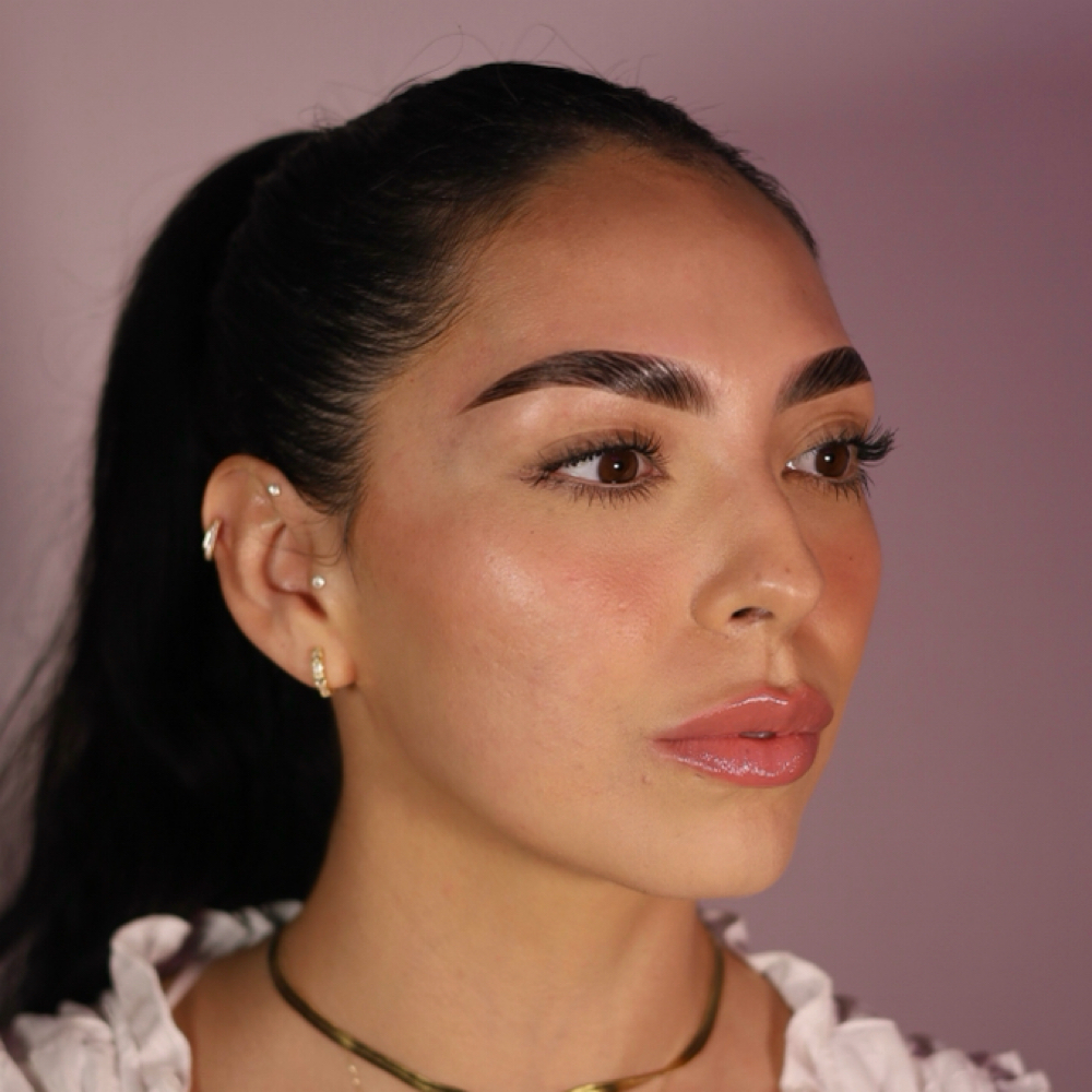 Eyebrow Tint (only) at Novabrow in Minneapolis, MN