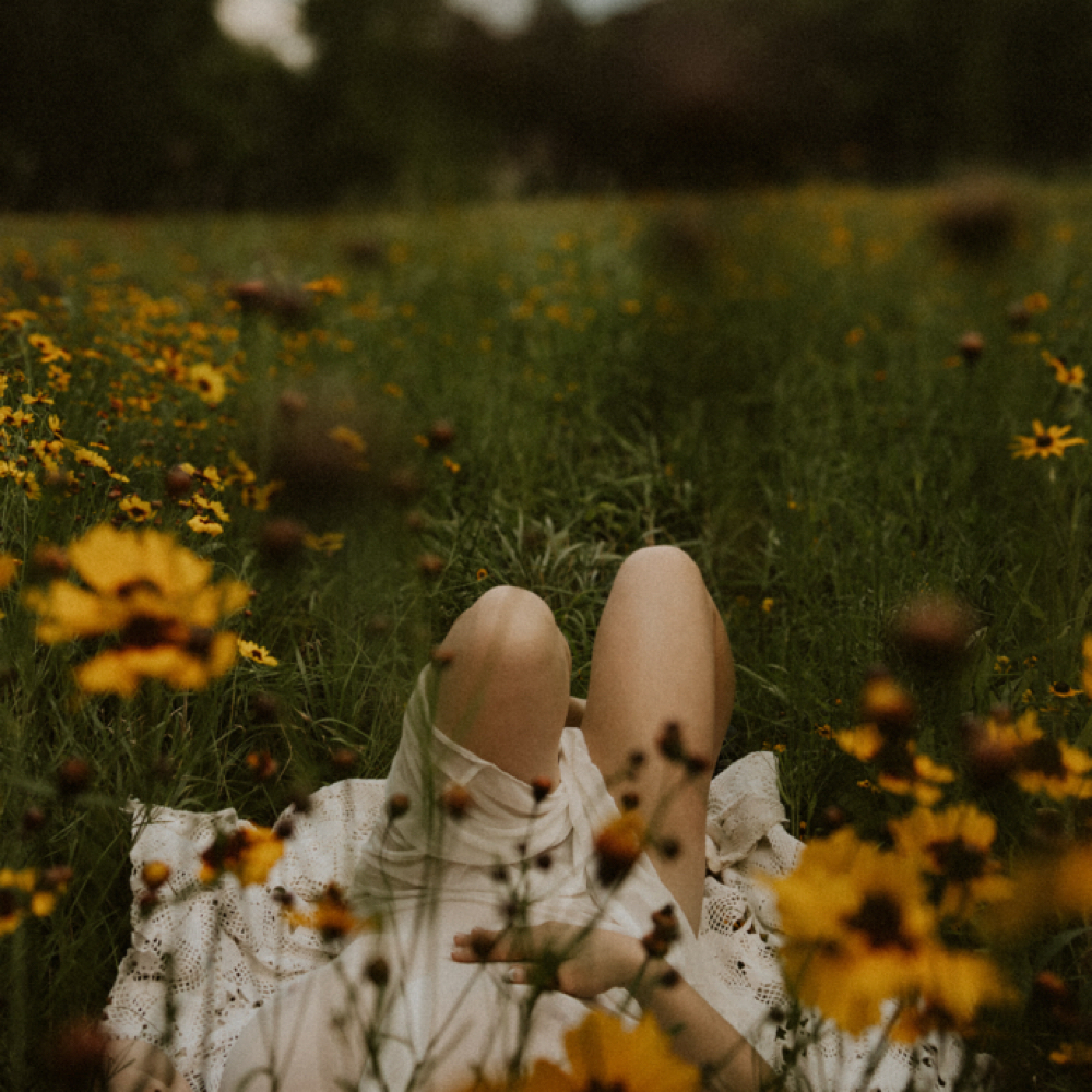 Wildflower Minis at Mckenzi Taylor Photography in Springfield, MO