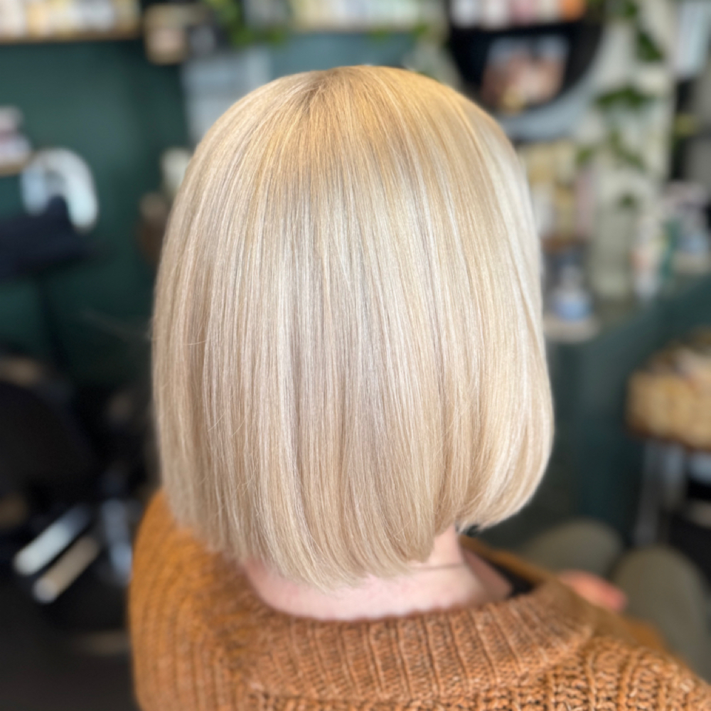 Global Lightening at Greenhaus Hair Studio in Campbell, CA