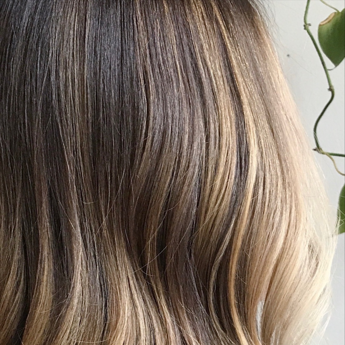 The "Reverse" Blondie at Drew Rose Hair in Tacoma, WA