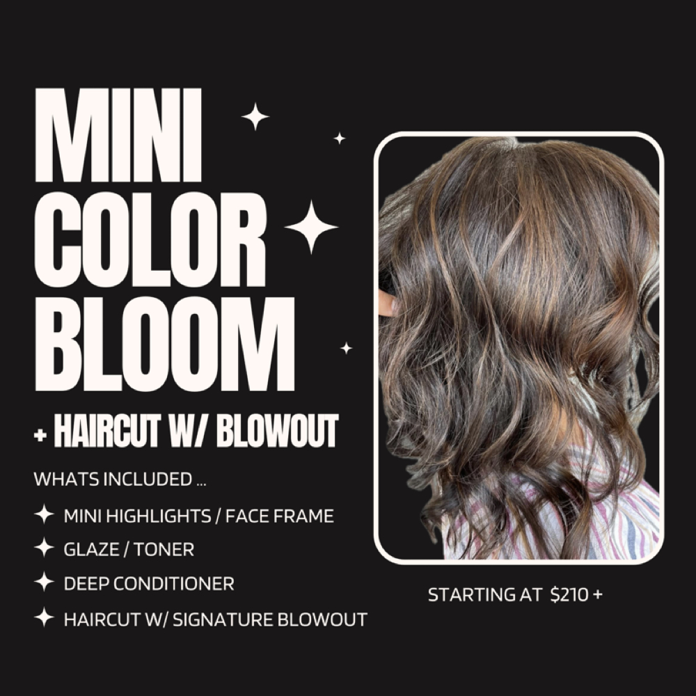 Mini Color Bloom + Haircut at The Mane Garden Salon in Huntington, NY